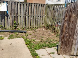 Cleanups by Allan Roberts for Kiecia C. in Temple Hills, MD