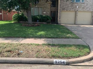 Terry R.'s Lawn Mowing service result
