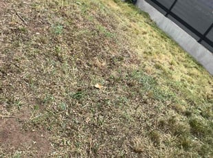 Cleanups by Brenna Rivera for Arman P. in Englewood, CO
