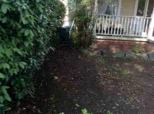 Leaf Removal by Lionel Lee for Anthony E. in Atlanta, GA