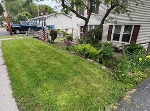 Weeding by Darnell Williams for Bonnie N. in Rochester, NY