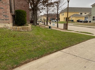 Cleanups by Alexander Flores for Cameron B. in Denton, TX