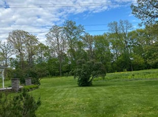 Terrence D.'s Lawn Service service result