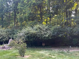 Bush Trimming by Steven Green for Liz S. in Kettering, OH