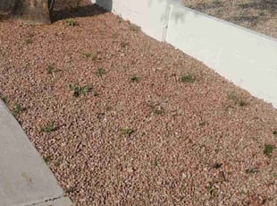 Weeding by Chris Hawk for Brian S. in Phoenix, AZ