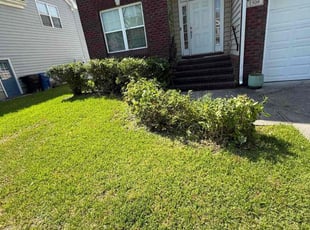 Bush Trimming by Derek Walker for Anthony S. in Virginia Beach, VA