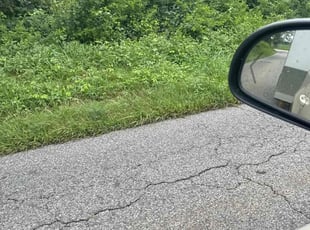 Bush Trimming by Ashley Dawson for Devon L. in Fredericksburg, VA