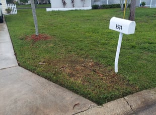 Cleanups by Jacob Thompson for Sheri H. in Seminole, FL