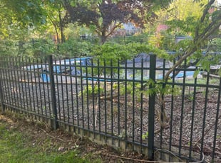 Leaf Removal by Mike Kraut for Ian W. in Rochester Hills, MI
