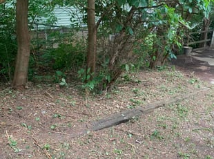 Bush Trimming by Marco Zapata for Caela S. in Peoria, IL
