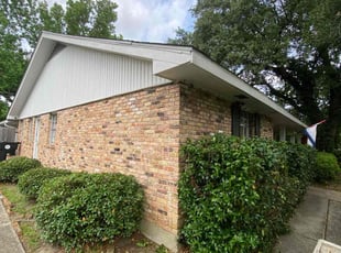 Bush Trimming by Akeem Lewis for Morgan P. in New Orleans, LA