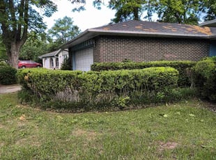 Bush Trimming by Thomas Patillo for Hunter H. in Warner Robins, GA