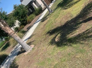 Cleanups by Joseph Marshall for Patricia G. in Bakersfield, CA