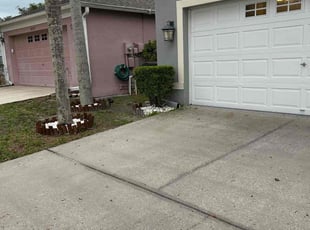 Bush Trimming by Feliciano Perez for Ava S. in Tampa, FL