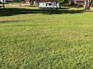 Dean G.'s Lawn Mowing Service service result