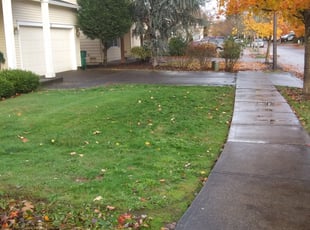 Leaf Removal by Brandon Young for Amanda B. in Beaverton, OR