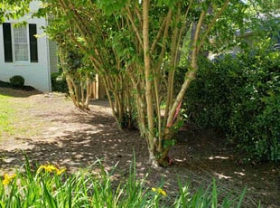 Cleanups by Tara Montgomery for Mataila H. in Norcross, GA