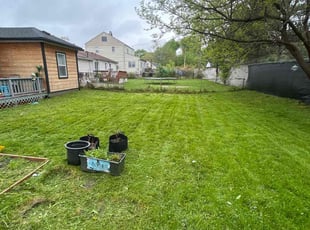 Cleanups by Kyle Yacko for Masai M. in Roseville, MI