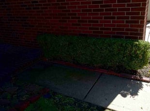 Bush Trimming by Donovan Perry for Angelia E. in Houston, TX