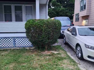 Bush Trimming by Richard Robinson for Tiara S. in Cleveland, OH