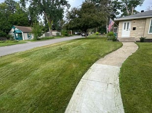 Wendy B.'s Yard Cutting service result