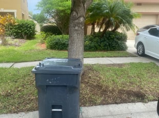 Bush Trimming by Jivontae Morgan for Clenneshia B. in Sun City Center, FL