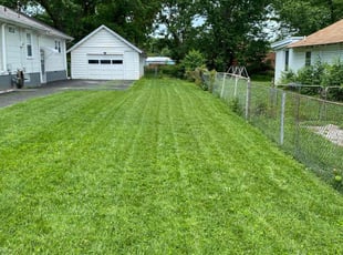 Laquite Smith E.'s Lawn Care service result
