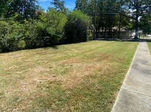 Leaf Removal by Jaquez Luke for Margaret S. in Richmond, VA