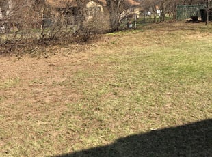 Leaf Removal by Jake Dunsmoor for Aisha A. in Blaine, MN