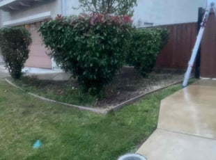 Bush Trimming by Danelle Soriano for Gilbert S. in Roseville, CA