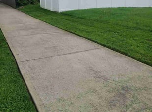 Ricky A.'s Yard Cutting service result