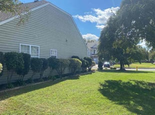 Bush Trimming by Debbie Carper for Steven P. in Virginia Beach, VA