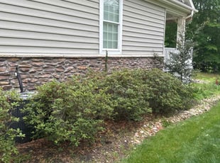 Bush Trimming by Davon Bynum for Beatrice K. in Williamsburg, VA