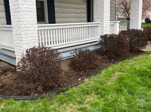 Weeding by Justin Lawrence for Tina M. in Cincinnati, OH