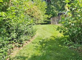 JD P.'s Lawn Care service result