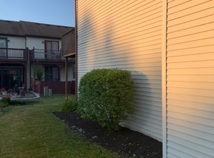 Bush Trimming by B.J. Schuetz for Natalie S. in Westerville, OH