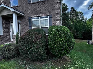 Bush Trimming by Marvin McCoy for Steven T. in Blythewood, SC