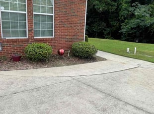 Bush Trimming by Ronald Wade for wayne w. in Tallahassee, FL