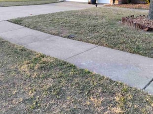 Joshua H.'s Leaf Removal service result