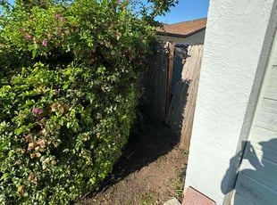 Bush Trimming by Bryan Redmon for Mary l. in Dunedin, FL