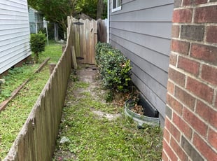 Bush Trimming by Darren Young for Pamela M. in Norfolk, VA