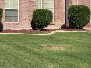 Bush Trimming by Reo Ramos for Gregory A. in DeSoto, TX
