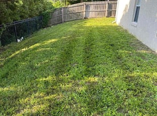 Josue T.'s Lawn Maintenance service result