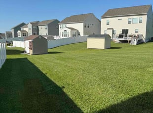 Bala A.'s Lawn Service service result