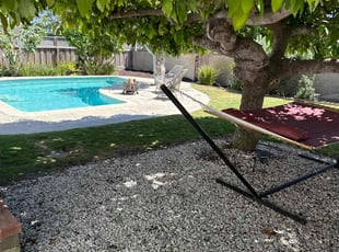Leaf Removal by Nicholas Poulsen for Nancy P. in San Diego, CA