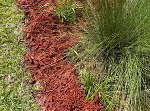 Mulching by Calvin Williams for Tony S. in jacksonville, FL