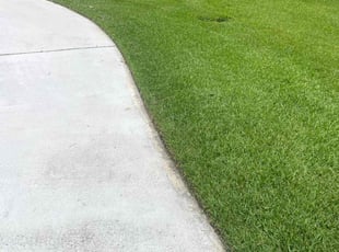 Erin C.'s Lawn Maintenance service result