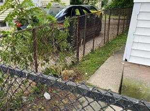 Bush Trimming by David Cardillo for Anne Y. in North Providence, RI