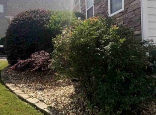 Bush Trimming by Enrique Juarez for Shane D. in Canton, GA