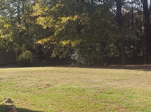 Leaf Removal by Christina duke for Celeste S. in Indian Trail, NC
